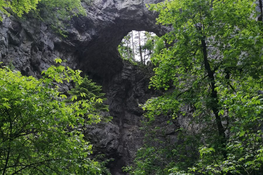 Terenske vaje pri predmetih Geologija krasa, Hidrogeologija in Okoljska geologija