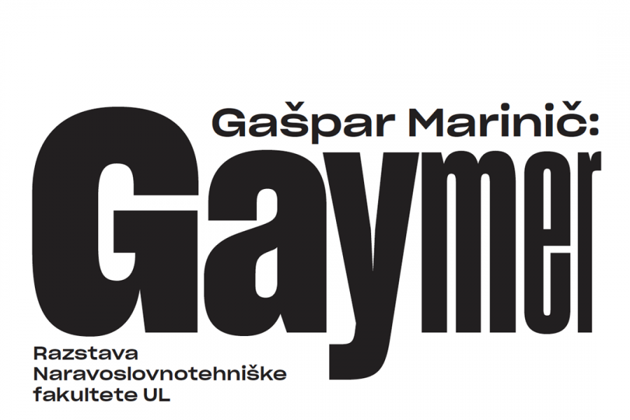 Gašpar Marinič: Gaymer, Galerija MGBS