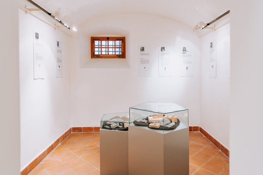 SIJW, foto: Lea Golob, Fotofabrik
