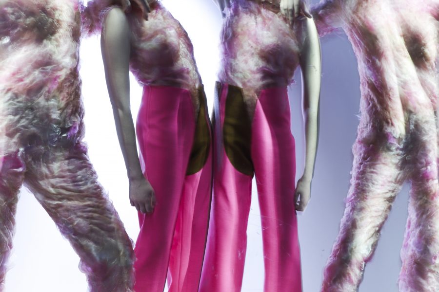 LARISA GREGOR, foto: Marijo Županov